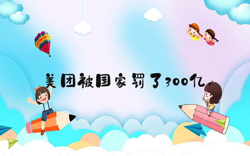 美团被国家罚了300亿 