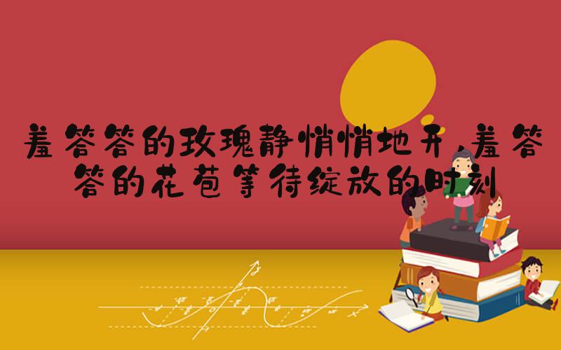 羞答答的玫瑰静悄悄地开 羞答答的花苞等待绽放的时刻