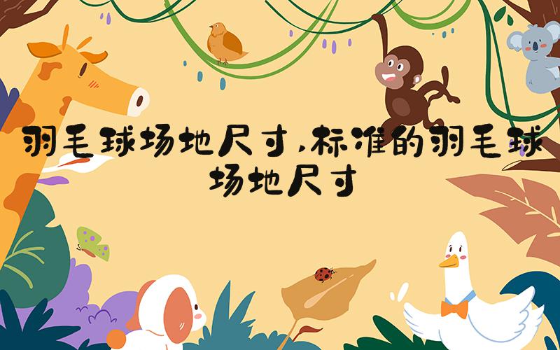 羽毛球场地尺寸 标准的羽毛球场地尺寸