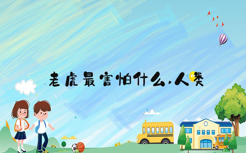 老虎最害怕什么 人类
