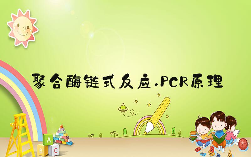 聚合酶链式反应 PCR原理