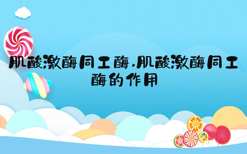 肌酸激酶同工酶 肌酸激酶同工酶的作用
