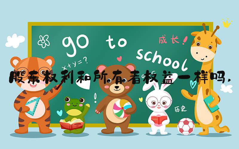 股东权利和所有者权益一样吗 