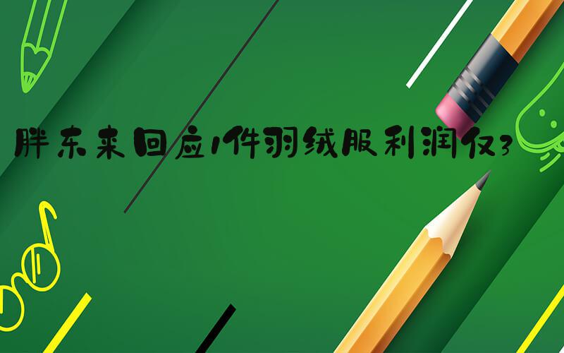 胖东来回应1件羽绒服利润仅3毛