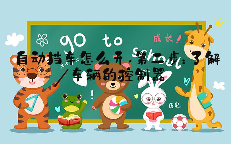 自动挡车怎么开 第二步：了解车辆的控制器