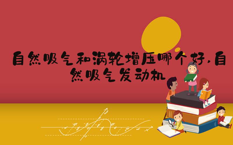 自然吸气和涡轮增压哪个好 自然吸气发动机