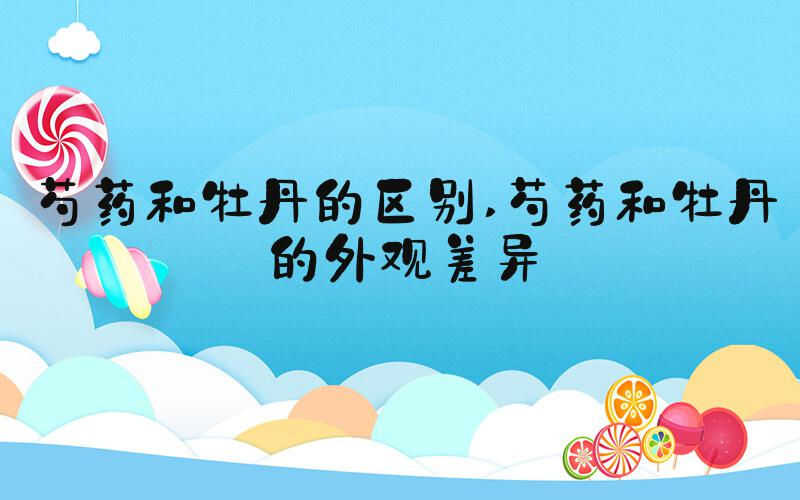 芍药和牡丹的区别 芍药和牡丹的外观差异