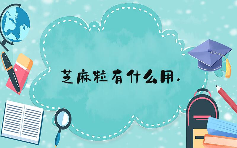 芝麻粒有什么用 