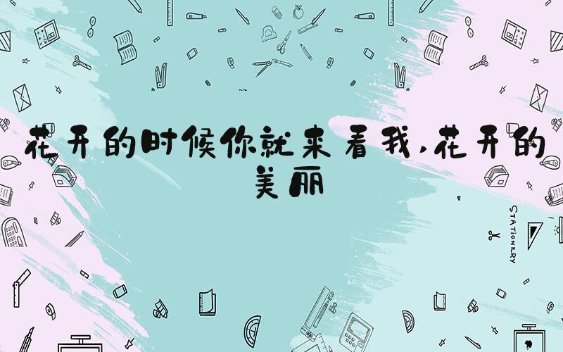 花开的时候你就来看我 花开的美丽