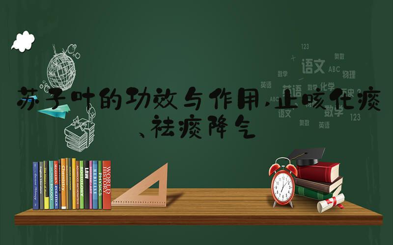 苏子叶的功效与作用 止咳化痰、祛痰降气