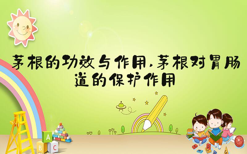 茅根的功效与作用 茅根对胃肠道的保护作用