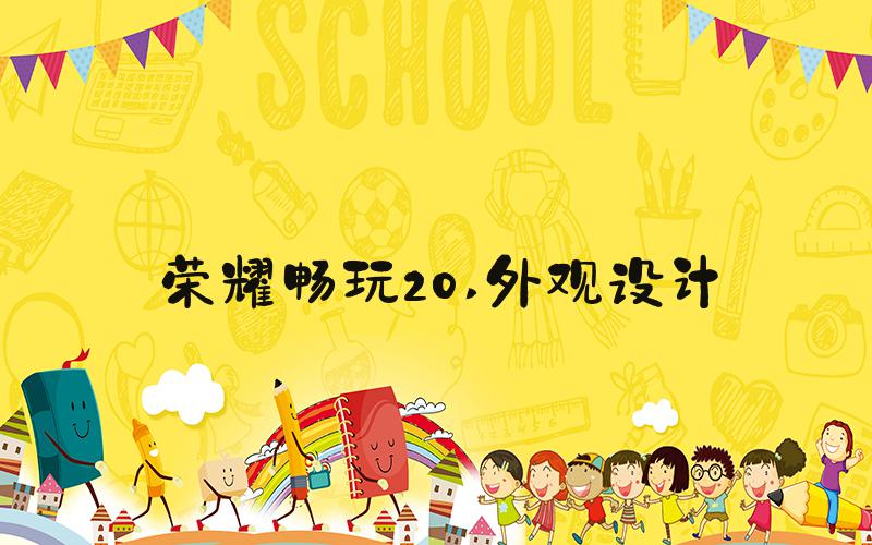 荣耀畅玩20 外观设计