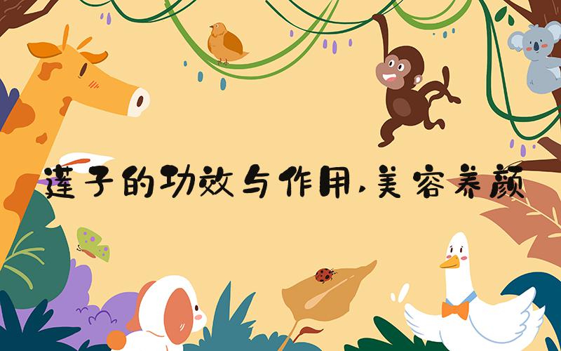 莲子的功效与作用 美容养颜