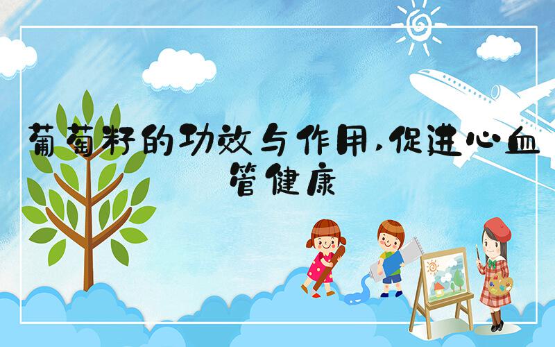 葡萄籽的功效与作用 促进心血管健康