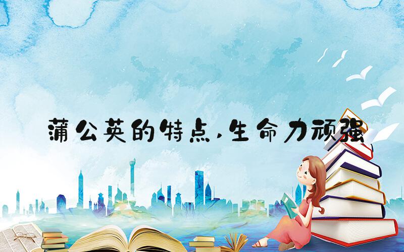 蒲公英的特点 生命力顽强