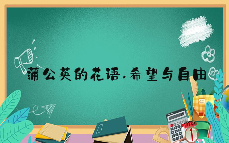 蒲公英的花语 希望与自由