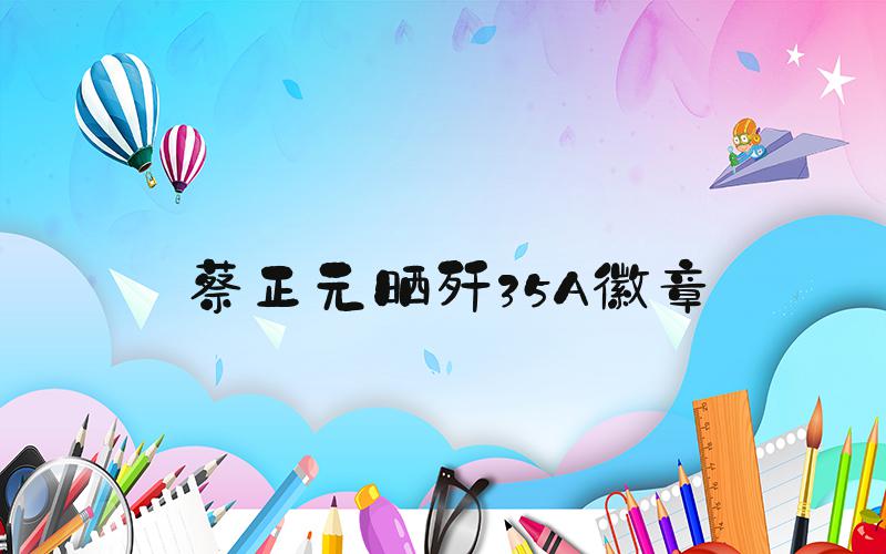 蔡正元晒歼35A徽章