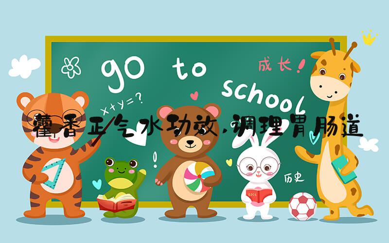 藿香正气水功效 调理胃肠道