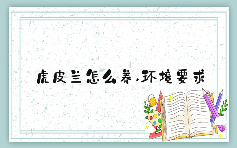 虎皮兰怎么养 环境要求