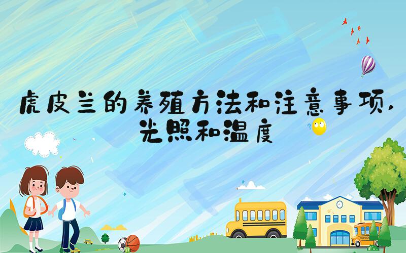 虎皮兰的养殖方法和注意事项 光照和温度