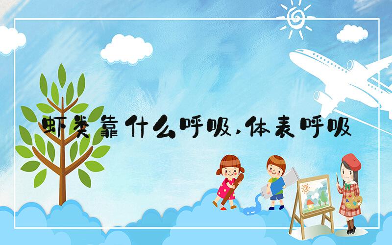 虾类靠什么呼吸 体表呼吸