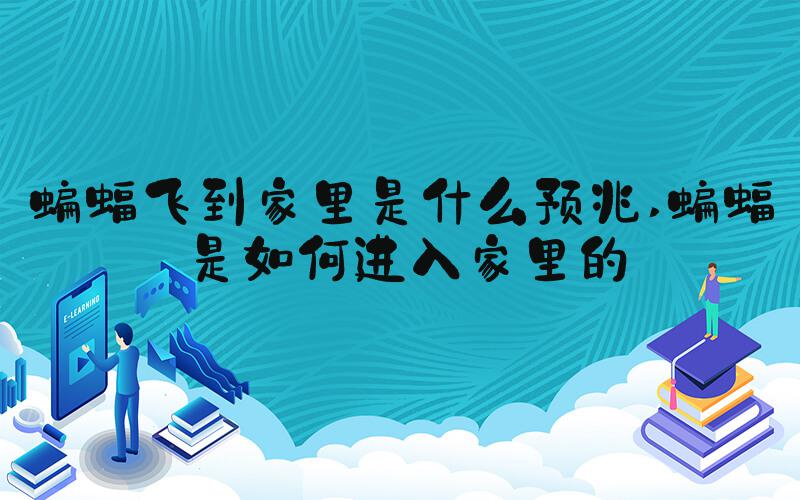 蝙蝠飞到家里是什么预兆 蝙蝠是如何进入家里的