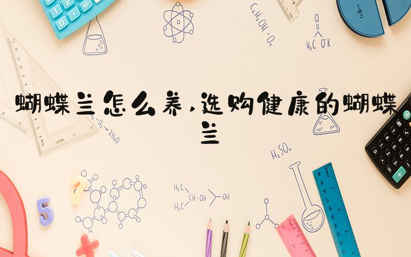 蝴蝶兰怎么养 选购健康的蝴蝶兰