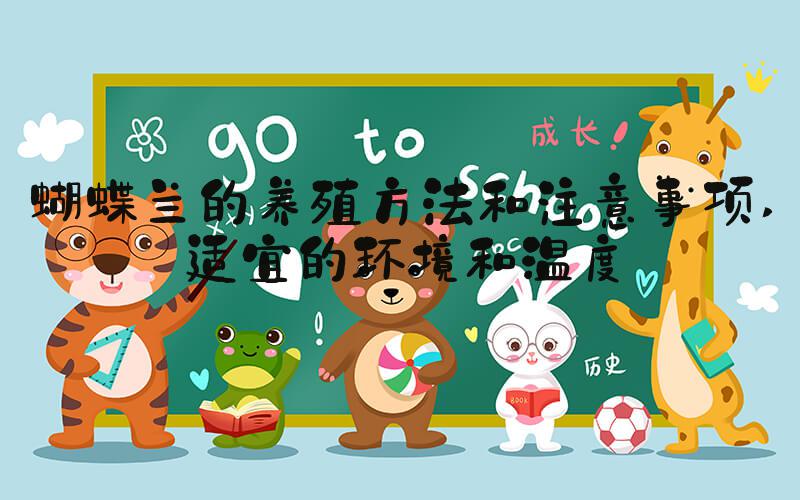 蝴蝶兰的养殖方法和注意事项 适宜的环境和温度