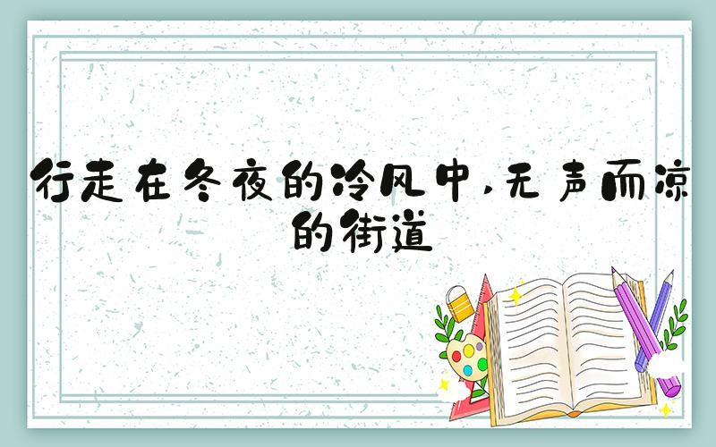 行走在冬夜的冷风中 无声而凉的街道