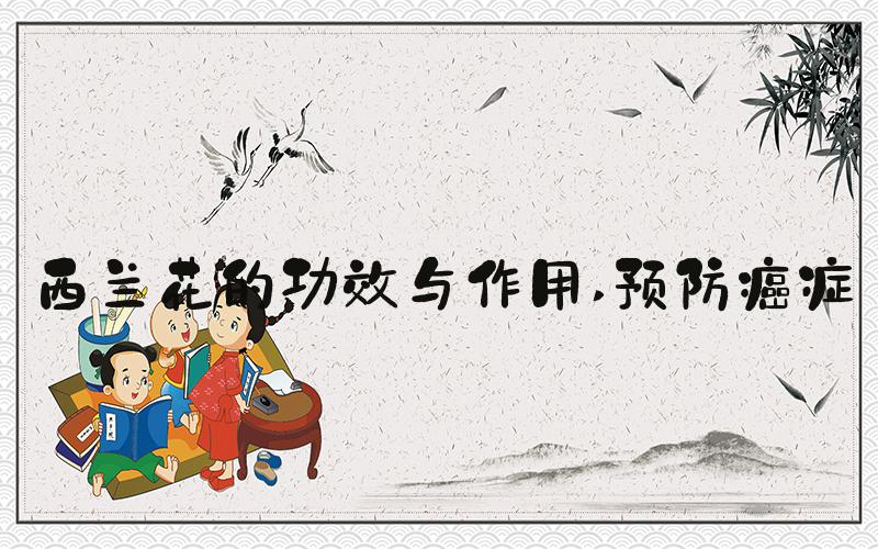 西兰花的功效与作用 预防癌症