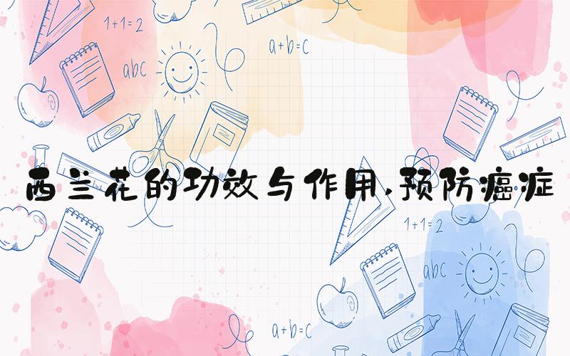 西兰花的功效与作用 预防癌症