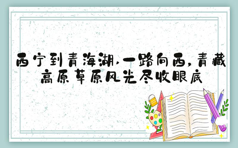 西宁到青海湖 一路向西，青藏高原草原风光尽收眼底