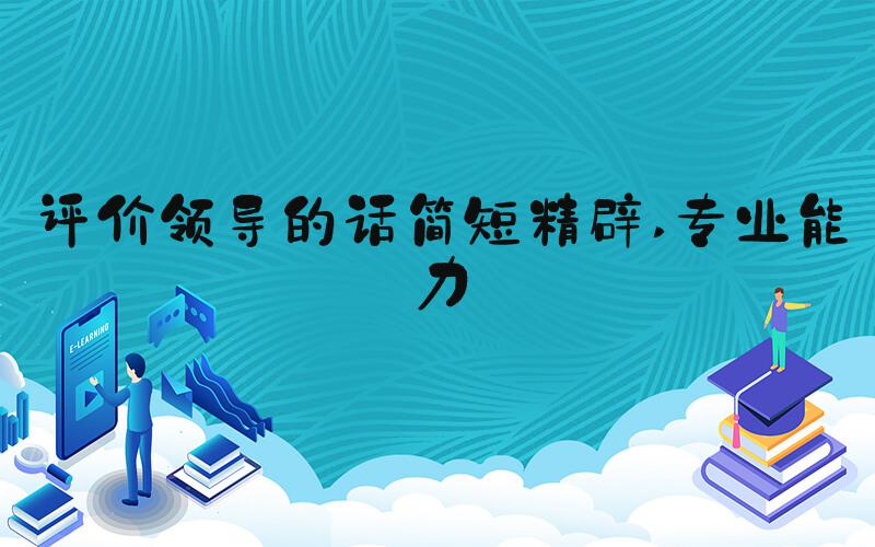 评价领导的话简短精辟 专业能力