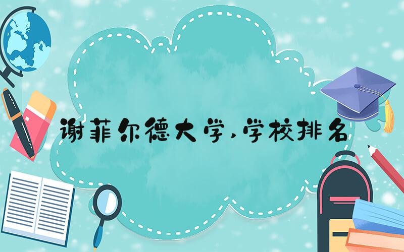 谢菲尔德大学 学校排名