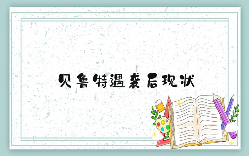 贝鲁特遇袭后现状