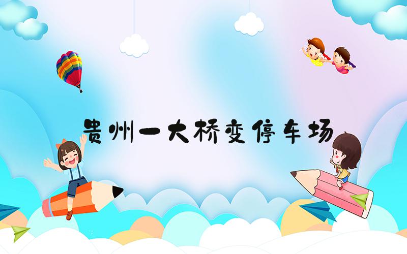 贵州一大桥变停车场