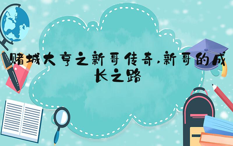 赌城大亨之新哥传奇 新哥的成长之路