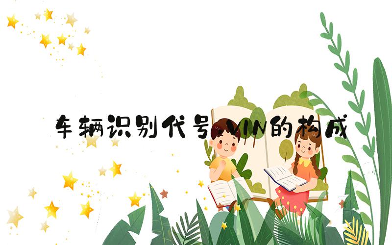 车辆识别代号 VIN的构成