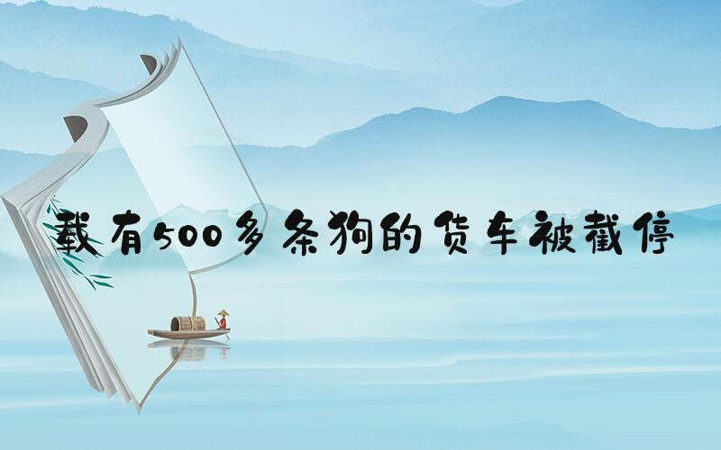 载有500多条狗的货车被截停