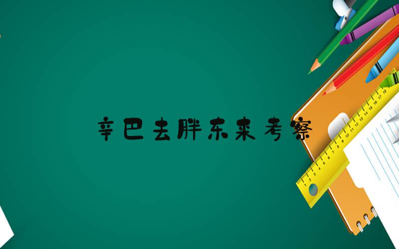 辛巴去胖东来考察