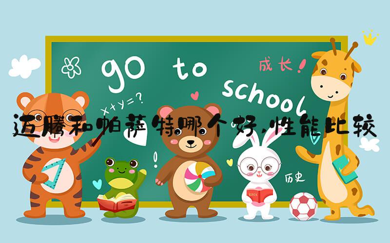 迈腾和帕萨特哪个好 性能比较