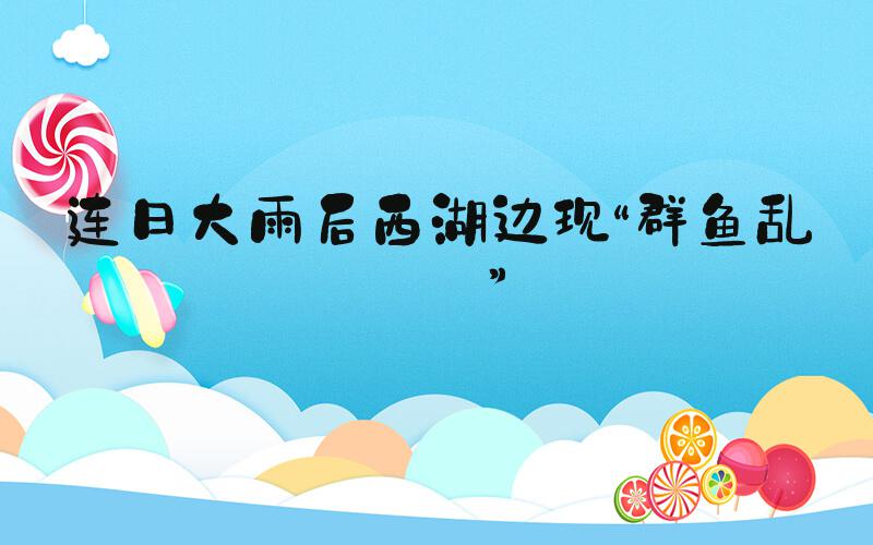 连日大雨后西湖边现“群鱼乱舞”