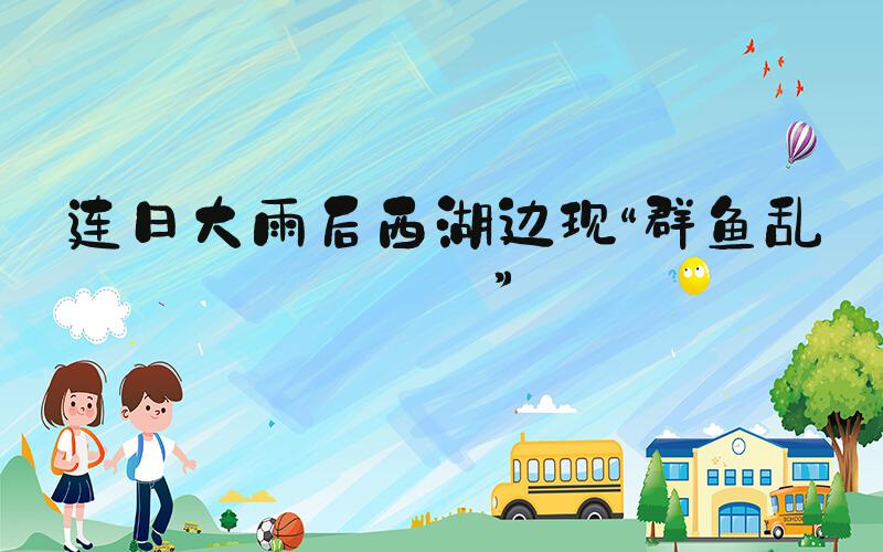 连日大雨后西湖边现“群鱼乱舞”