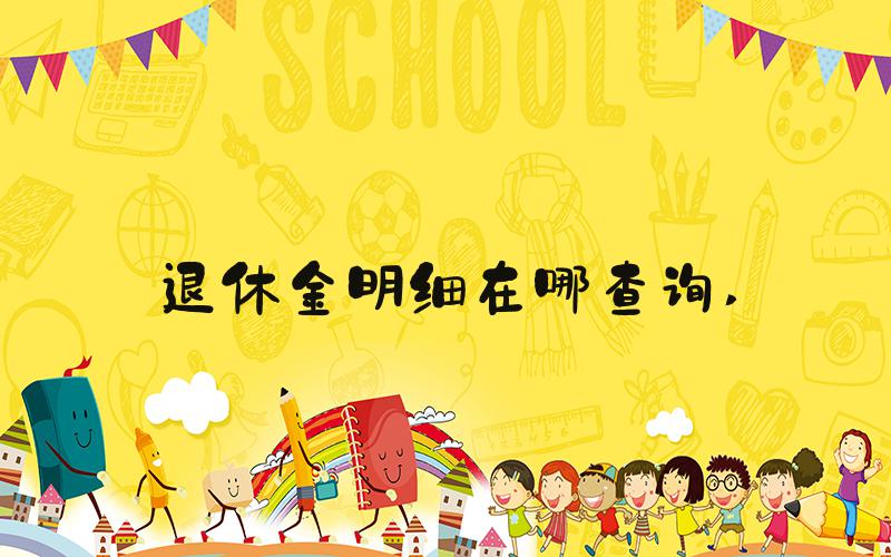 退休金明细在哪查询 