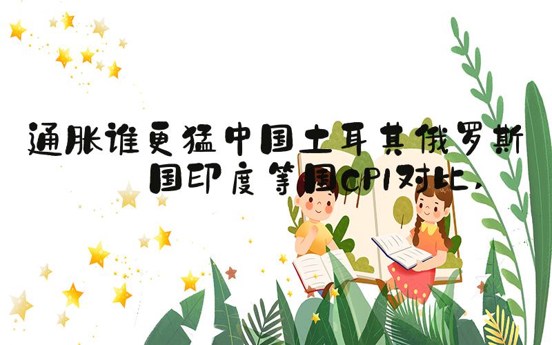 通胀谁更猛中国土耳其俄罗斯美国印度等国CPI对比 