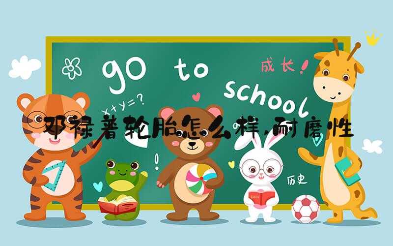 邓禄普轮胎怎么样 耐磨性
