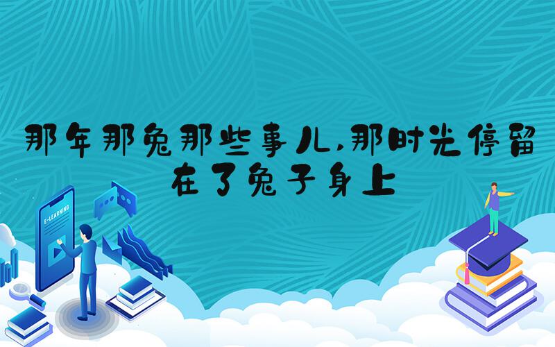 那年那兔那些事儿 那时光停留在了兔子身上