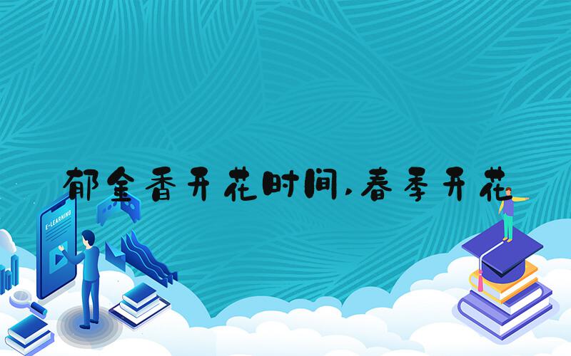 郁金香开花时间 春季开花