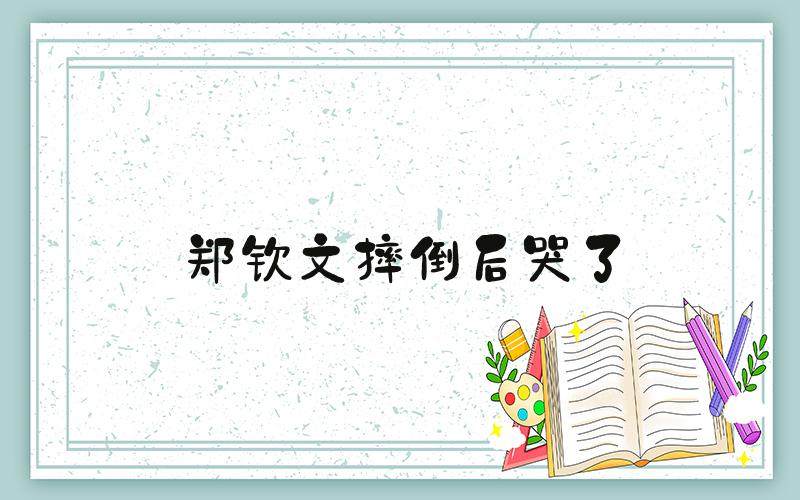 郑钦文摔倒后哭了