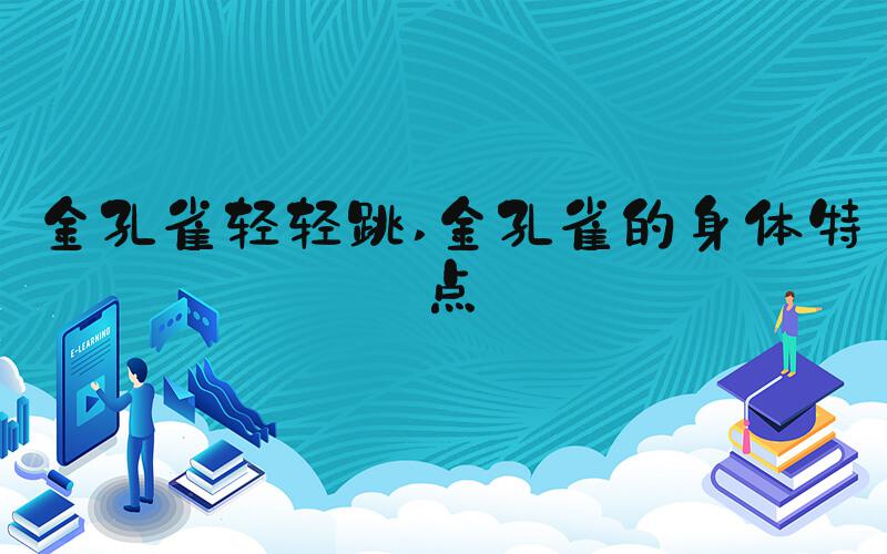 金孔雀轻轻跳 金孔雀的身体特点